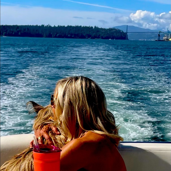 Meet your Posher, Posh - Picture 1 of 1